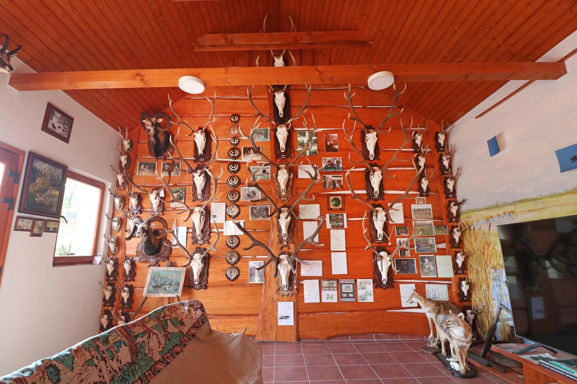 Füzesi Papa Vendégház Harta Exterior foto